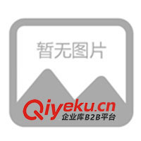 09年春夏休閑情侶裝，運(yùn)動時(shí)尚裝，征全國各地批發(fā)商